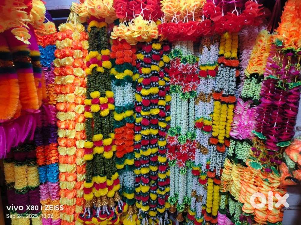 Premium Quality and Affordable Prices
