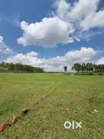 Real estate