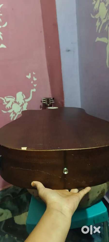 Tangled Acoustic Guitar for sale