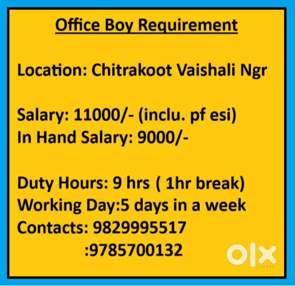 Office Boy Requirement