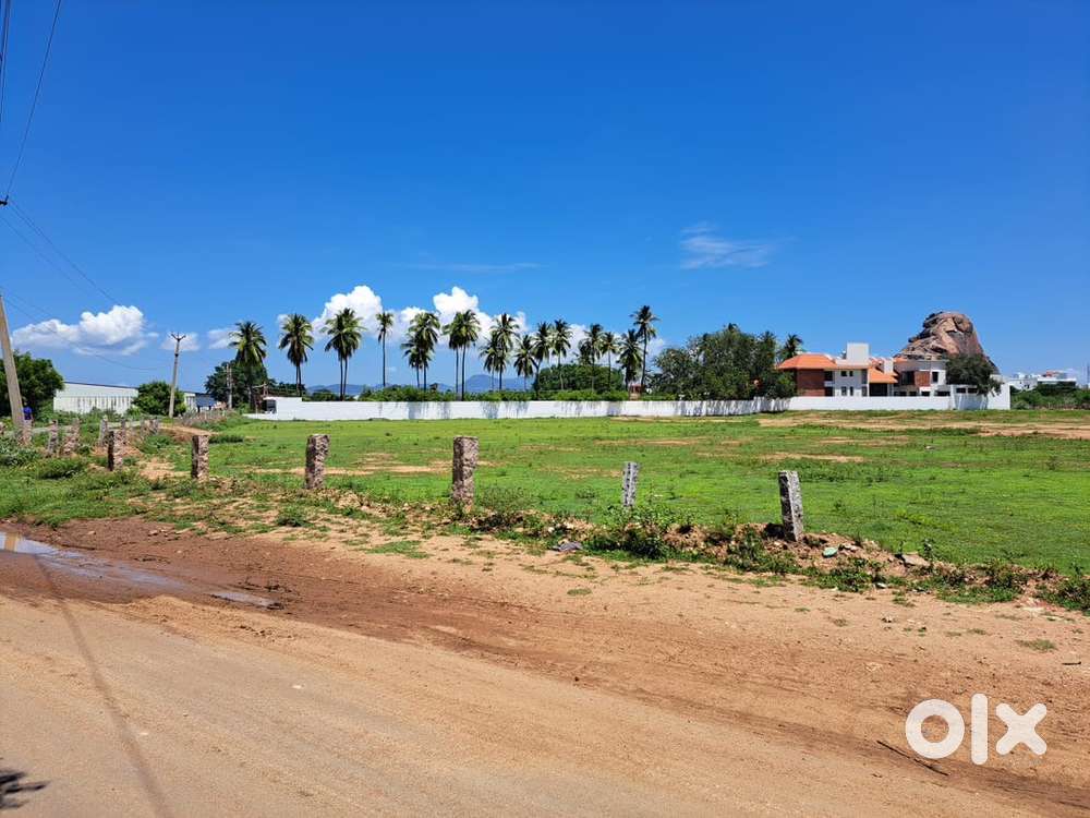 Wanted investor land developer