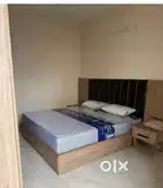 Looking for female room partner
