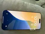 16 Pro Max
