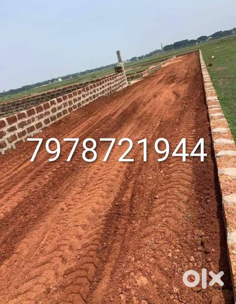 Aiims hospital backside