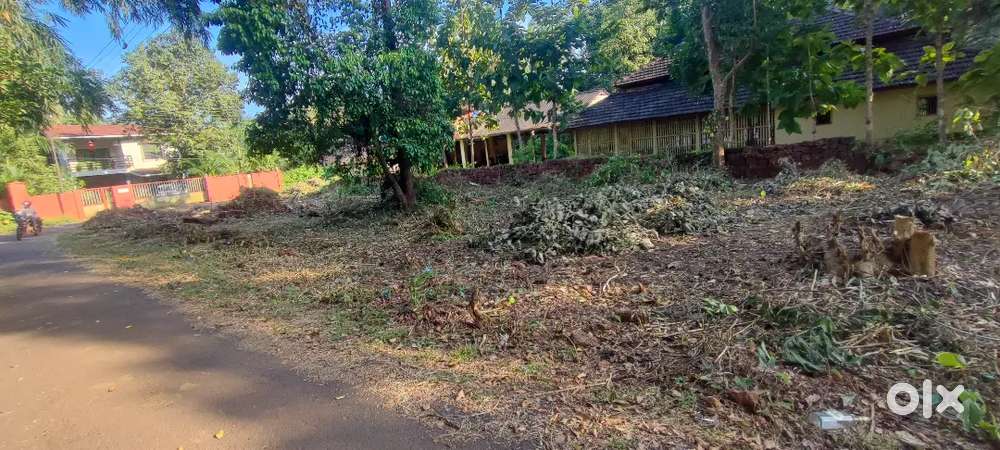 4 गुंठे जगा गणपतीपुळे शेजारी मालगुंड बाजारपेठ