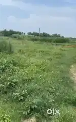Urgent sale for plot sai colony near buria jagadhri