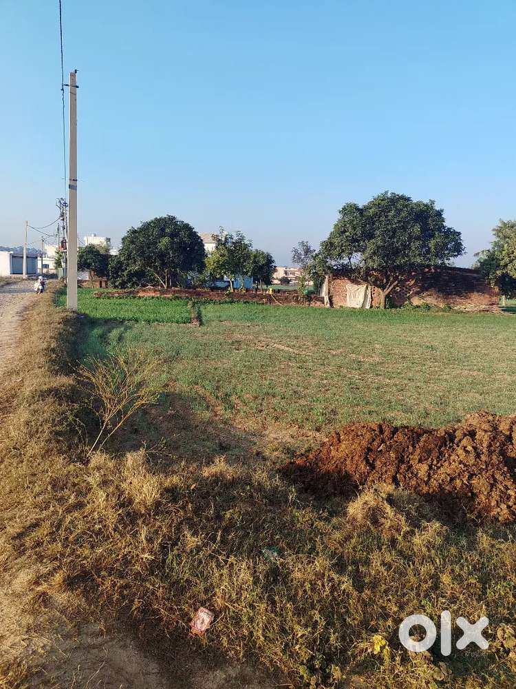 Front side corner plot 20 ft road for rent