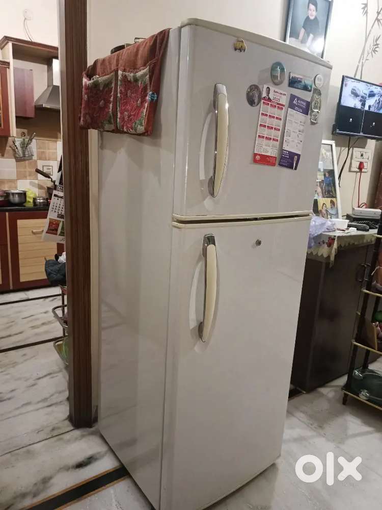 LG fridge Double Door