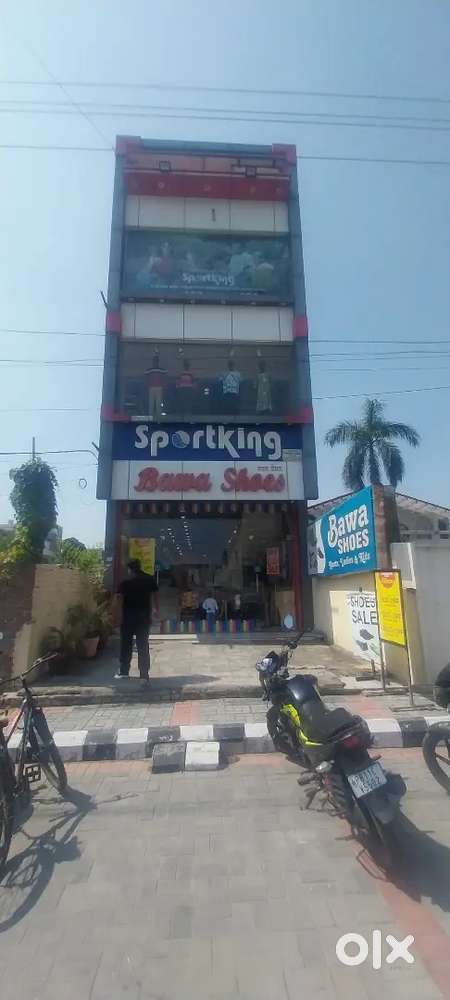 Sportking showroom saleman