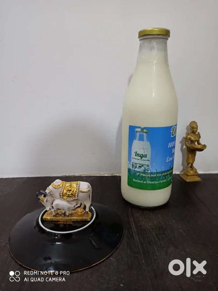 Driver for delivery of milk and other products 3am to 9am.