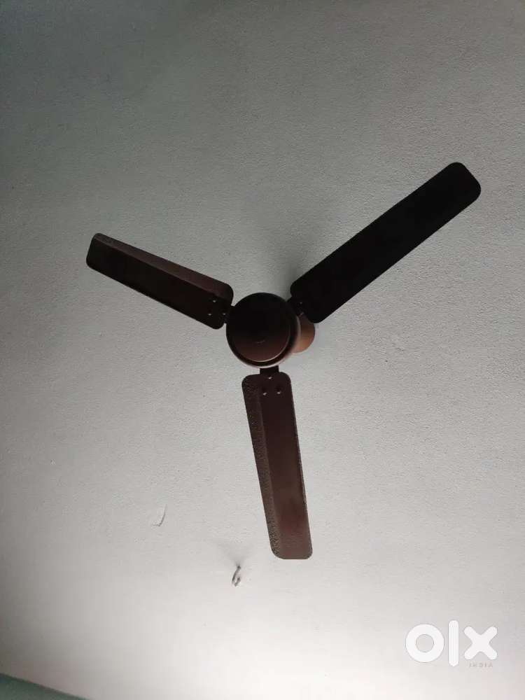 Atom berg bldc fan