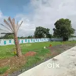 Tncp Plot for sell in minimum price