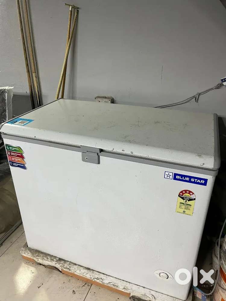 Blue Star Deep Freezer