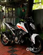 Duke 390bs6