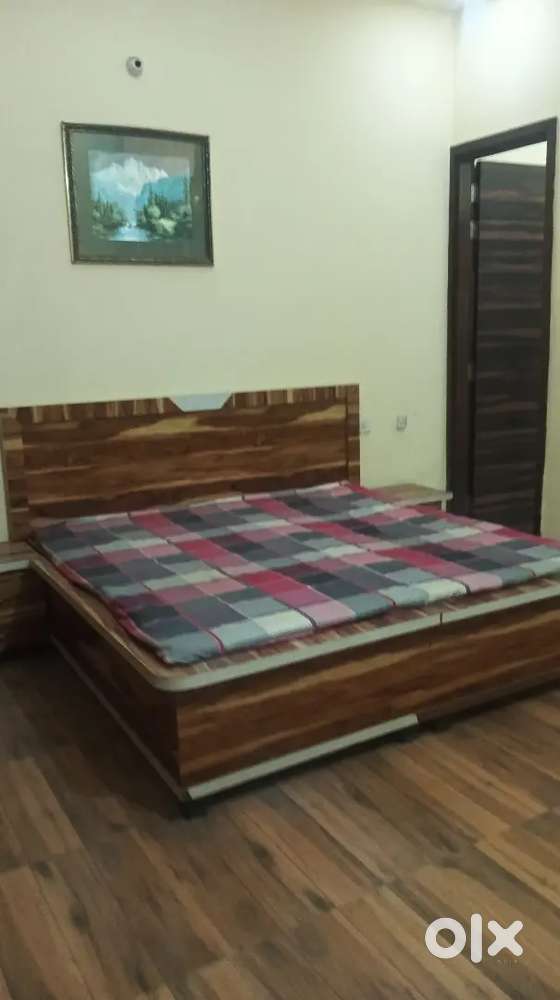 Kothi for rent in Ranjit vihar ,loharka road