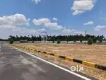 DTCP APPROVED LOW BUDGET LAND FOR SALE AT KOVILPALAYAM