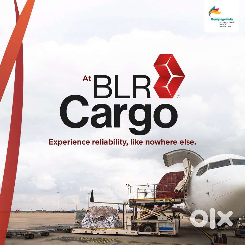 AIRPORT CARGO OPERATIONS DATA ENTRY OPENINGS