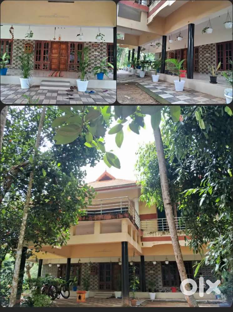 Paying Guest for Ladies