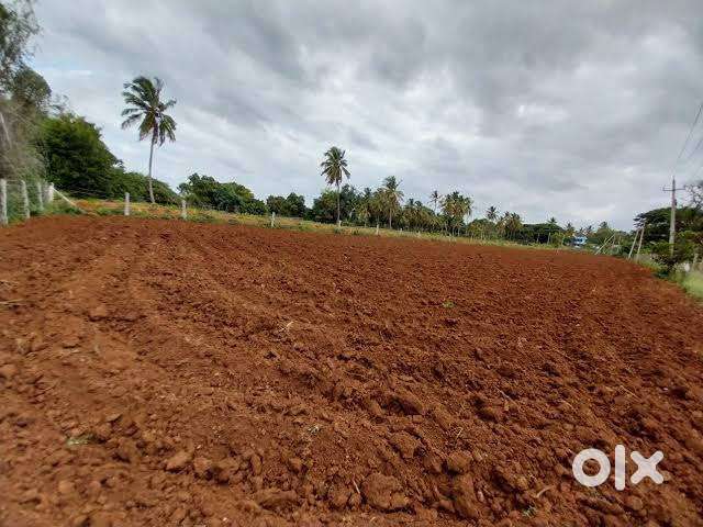 Land for sale