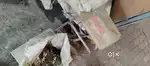 Molding machine karigar joiye chhe