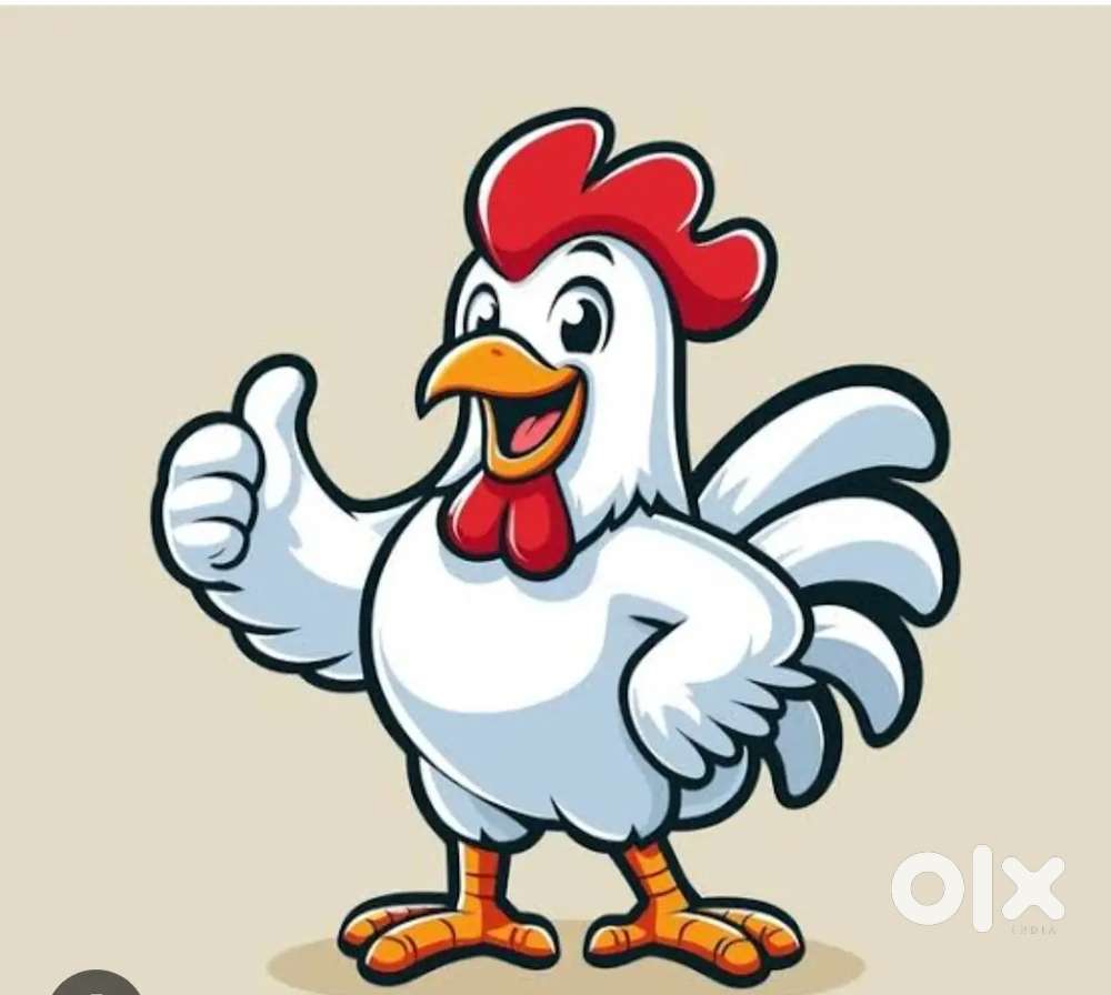 கோழி கடைக்கு ஆள் தேவை