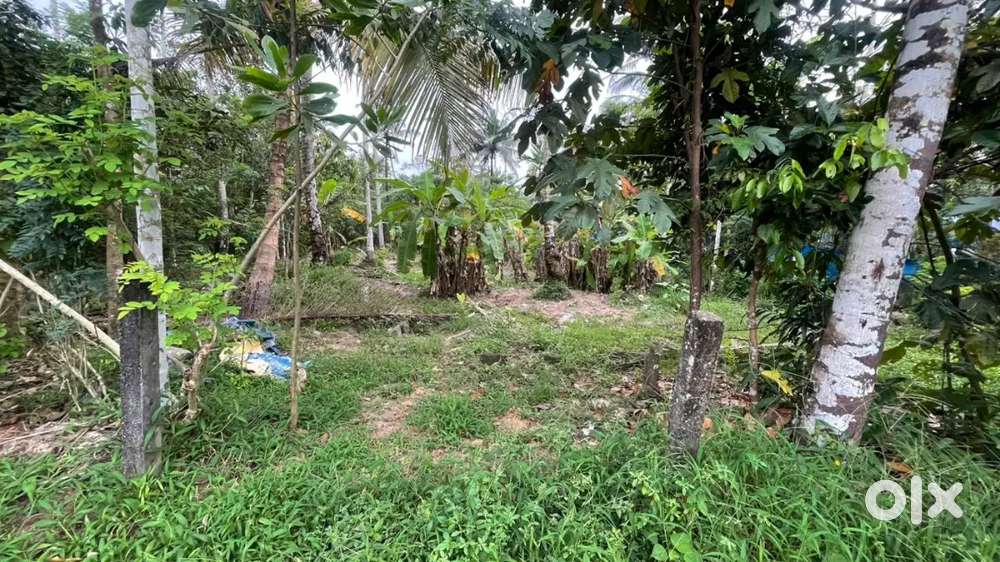 Plot sutable for building houses