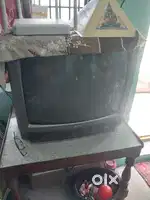 BPL 20 inches T v sale