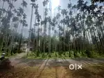 Plot for sale @ mullampara,manjeri