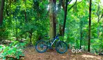 LIMITED EDITION LUCIFER SKYLITE MOUNTAIN BIKE BICYCLE MTB PROFESSIONAL