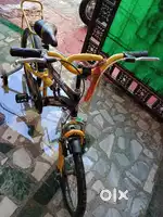 BSA champ cycle for kids