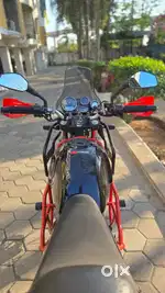 Himalayan for sale