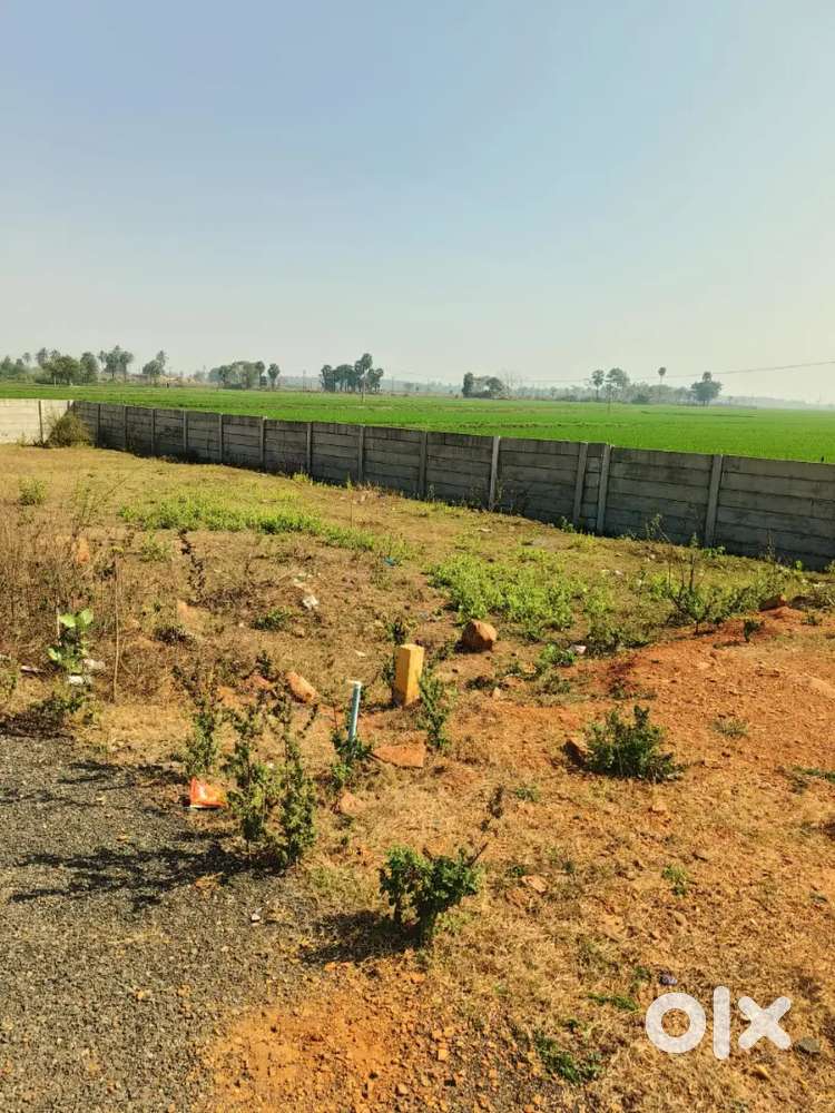 150 gajala land in Sathupalli, Kakarlapalli road