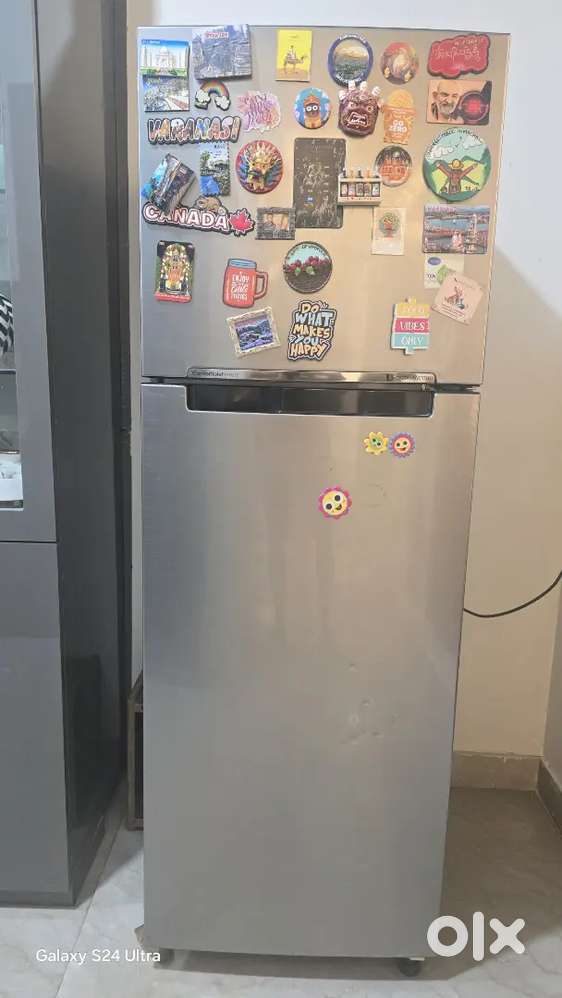 Freeze on sale