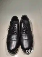Oxford Cut shoe