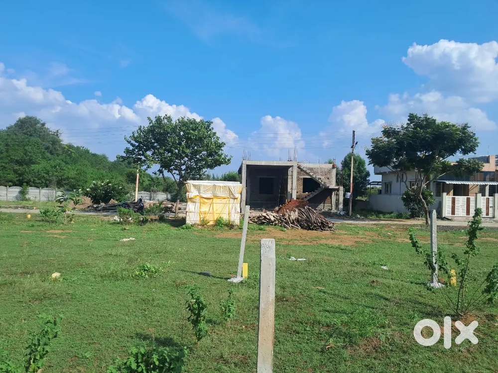 Plot area 49.21 X 26.24 (1291 sqft)