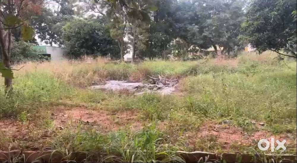 South Facing 10000 Sq. Ft.(100 *100 ) Land for Sale