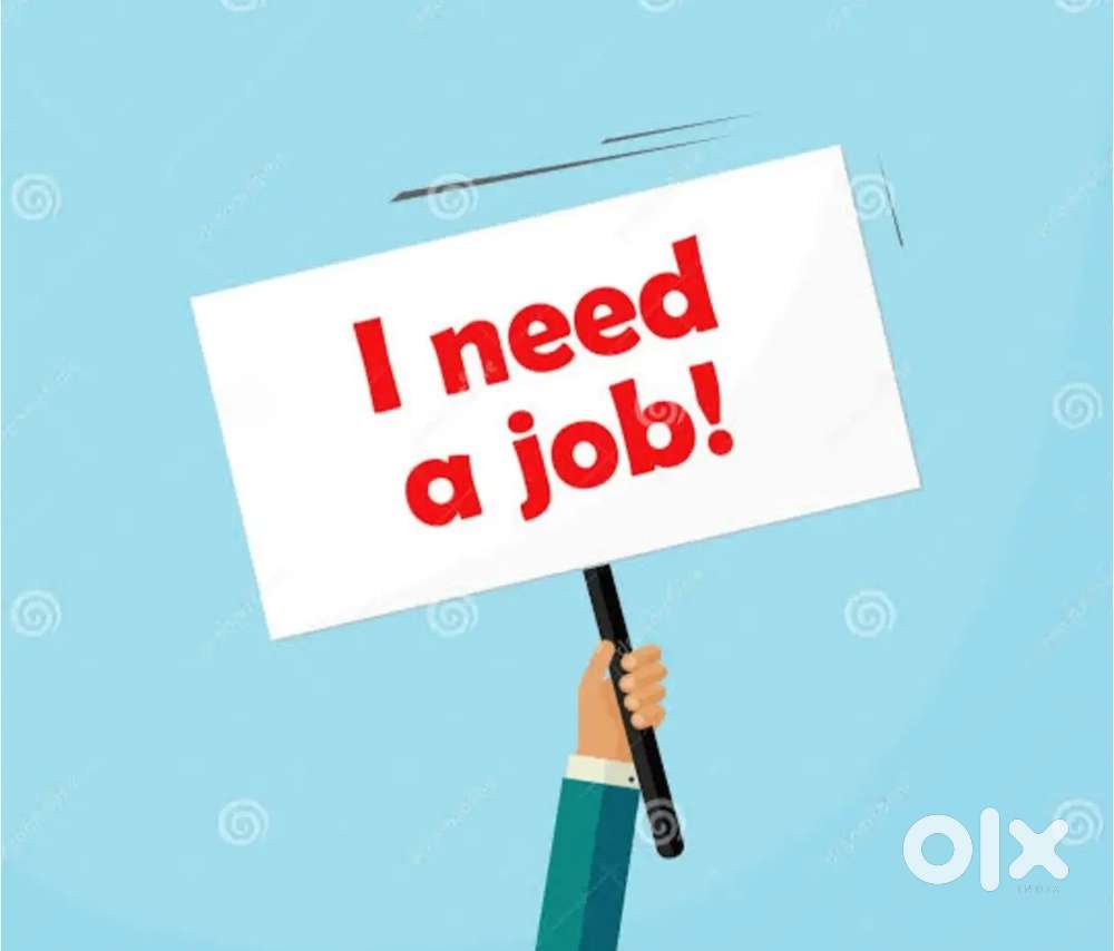 I want helper jobs anything shop or van helper . I am in Uppal