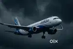 350+ seats Hiring Male Female Candidates in INDIGO AIRLINES