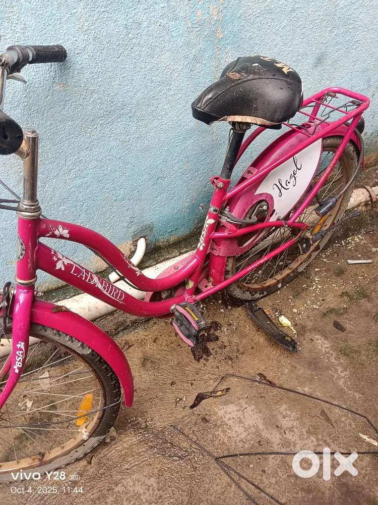 Lady bird cycle