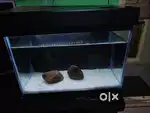 AQUARIUM with classy black background