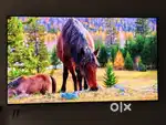 Samsung S95C 55-Inch OLED TV – 4k - Mint Condition. QD-OLED Monitor Tv