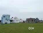 Profitable Investment Plot for Sale In Potheri