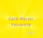 Cafe waiter