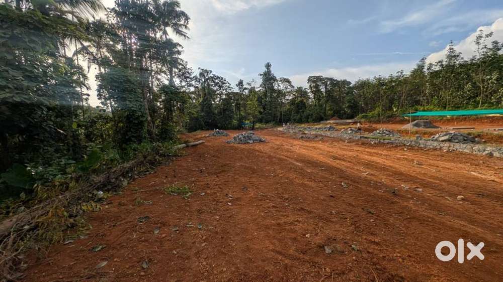 Koratty Town Pushpagiri Near 10 Cent Villa Plots for Sale Free Reg.