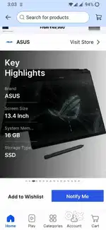 Asus Flow X 13