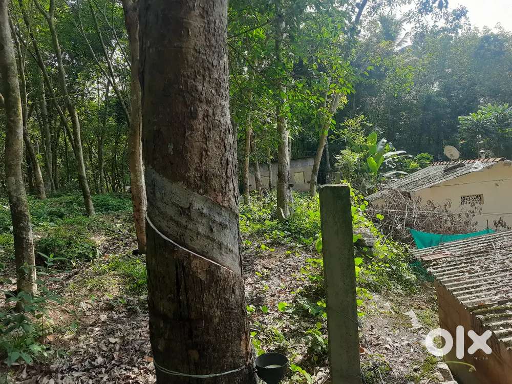 Land property for industrial / godown / residential purposes