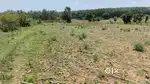 Agricultural Land for Sale!  - Location: Belur - 3 acre agricultural l