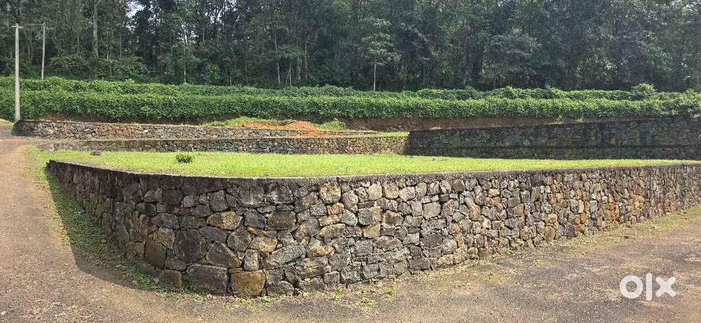 പള്ളിക്കത്തോട് - ആനിക്കാട് പള്ളിക്കടുത്ത് പ്ലോട്ടുകൾ