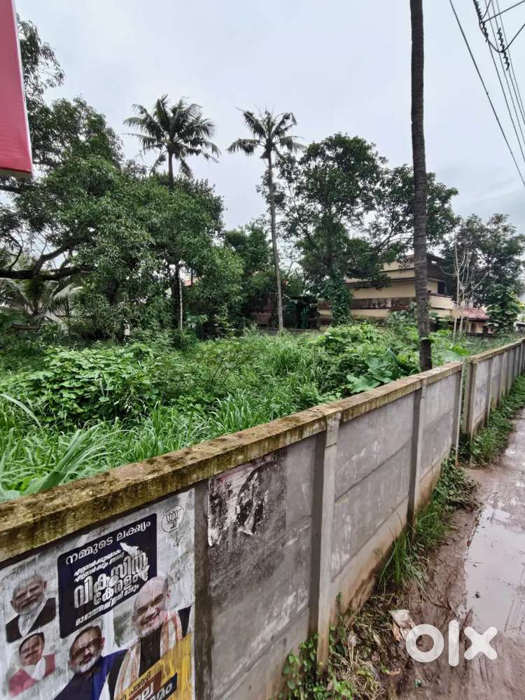 13¼ cent കൊട്ടിയം ഐ മാളിന് പിന്നിൽ  (വനിത ജ്വല്ലറി)
