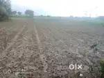 Village -chitholia -po-palla ps-gopal nagar uttar 24 po argana